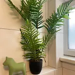 Grosses Apartment,ferienwohnung Mut 90 Qm2, Grosser Aufenthaltsbereich Fuer Firmen, Gruppen, Familien, Nahe Ulm, 3 Schlafzimmer, Wlan,hotel-tv,einzelbetten,garten,ruhige Lage,bettwaesche,handtuecher Inklusive,self Check-in,nahe Bwk,uni,legoland * Blaustein