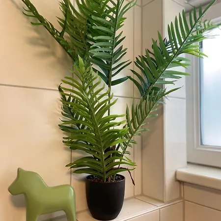 Firmen Und Gruppen Willkommen - Mit Einzelbetten Fuer Gruppen,familien, Hund, Nahe Ulm, Legoland, 3 Sz Bis 6p * Blaustein